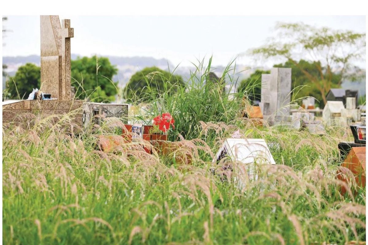 Mato alto em cemitério revela falta de preocupação do prefeito Rogério Cruz com a cidade
